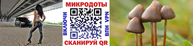 Псилоцибиновые грибы MAGIC MUSHROOMS  Зубцов 